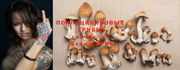 а пвп мука Богородск