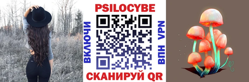 blacksprut сайт Всеволожск Галлюциногенные грибы MAGIC MUSHROOMS